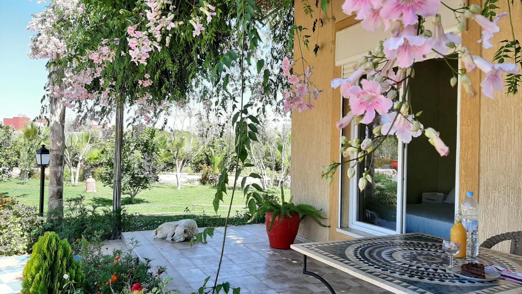 Dar Beynana Hotel Sidi Bibi Room photo